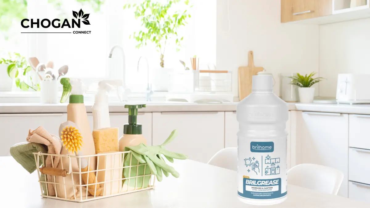 rodusele Chogan schimbă regulile jocului, combinând puterea naturii cu parfumuri de lux care fac fiecare încăpere să strălucească.